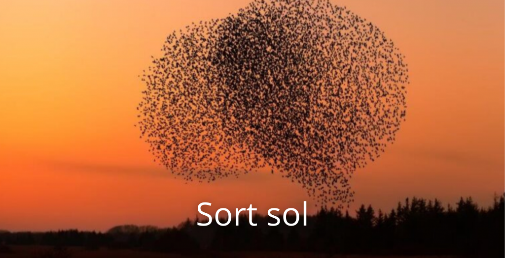 Sort sol